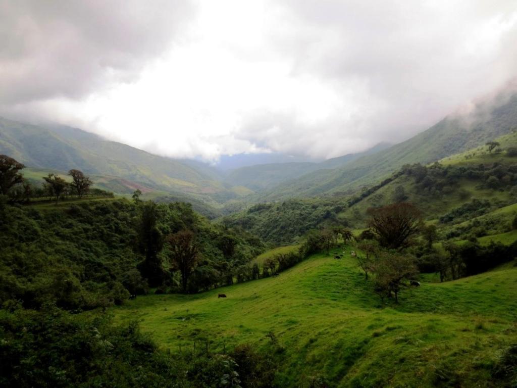Finca Petrona Calacali ภายนอก รูปภาพ