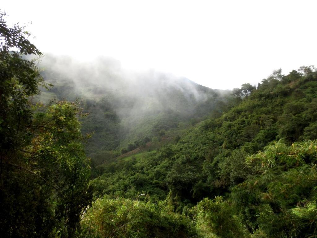 Finca Petrona Calacali ภายนอก รูปภาพ