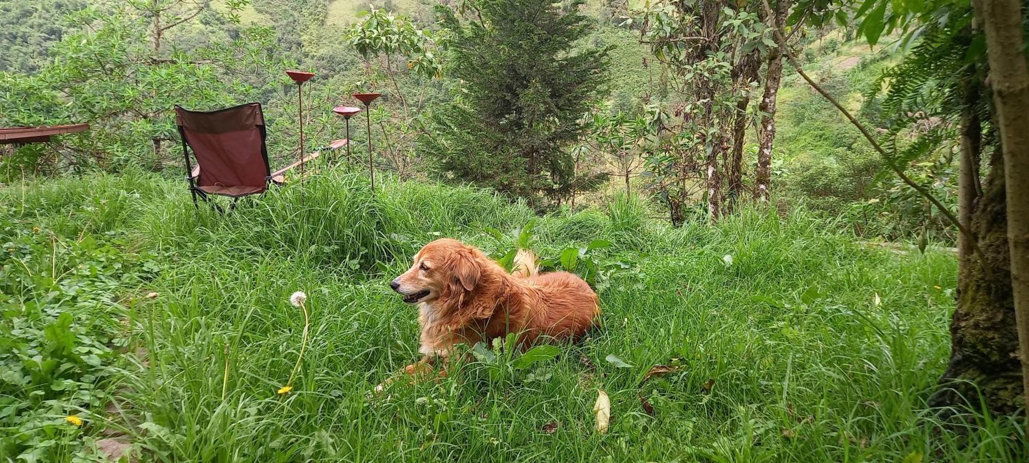 Finca Petrona Calacali ภายนอก รูปภาพ